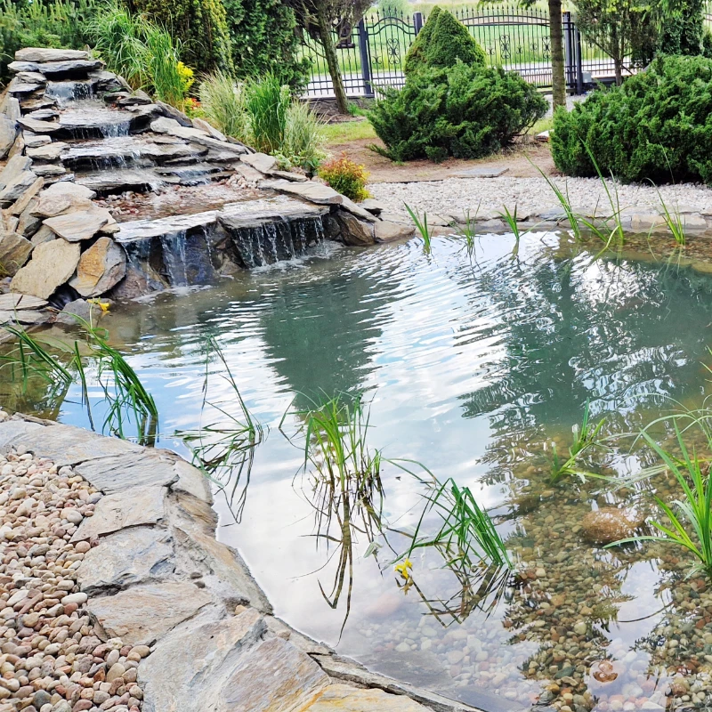 realizacje obrazek pondream